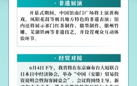 2025年日本大阪世博会中国馆“安徽活动日”情况   新闻发布会
